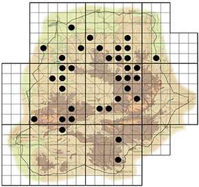 Grewia rogersii Waterberg distribution